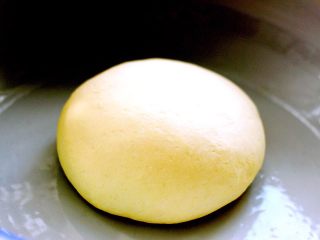 萝卜丝发面饼#王氏私房菜#,慢慢揉好的面团、盖上盖子发酵、下面开始做馅料