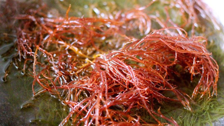 凉拌红毛菜（海藻）#烟台特色#,把洗净的红毛菜倒入锅中、红毛菜见热即变色、看看锅底下的已经变成绿色的了