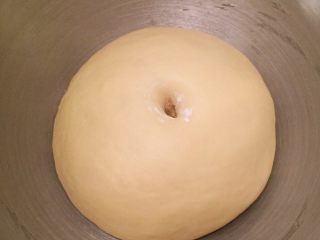 辫子面包（中种）,手沾少许面粉插入面团内，不回缩即发酵好了