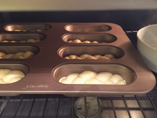 辫子面包（中种）,烤箱启动发酵功能，将面包放入烤箱内，放一碗热水，发酵50分钟左右