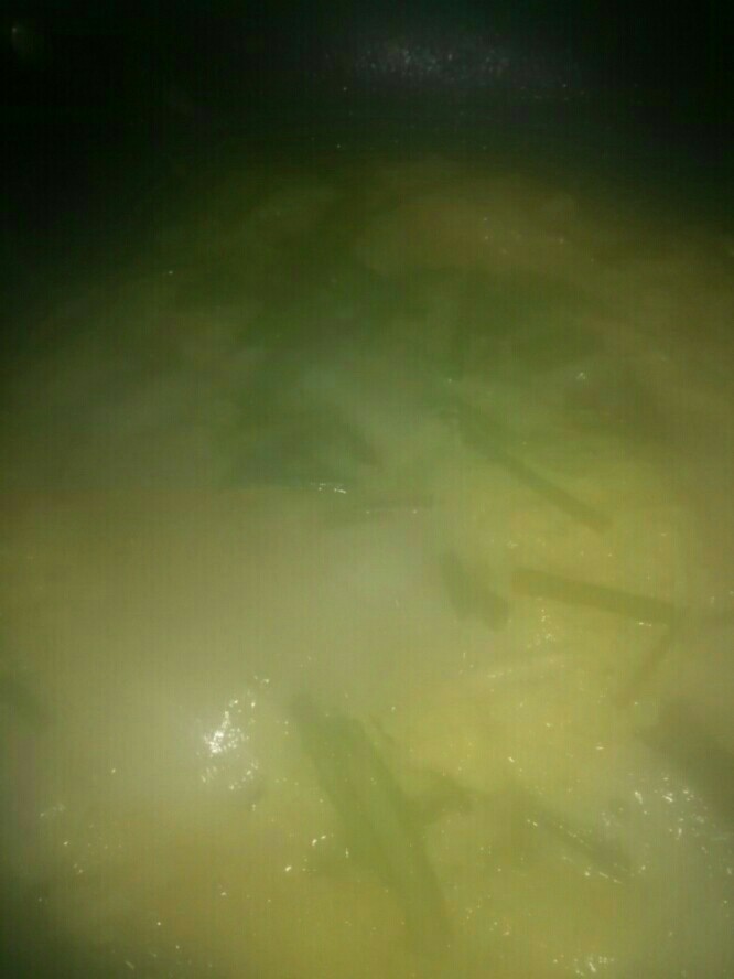 虾皮鸡蛋汤,炖1分钟，散入葱花