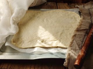 健康低脂 绵软拉丝厚底披萨,将发酵好的面团取出，放在烤盘上擀成片，继续发酵