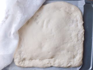 健康低脂 绵软拉丝厚底披萨,发到明显变厚就可以了，放入烤箱，170℃烤15分钟