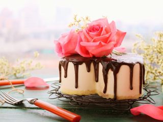鲜花巧克力淋面蛋糕,用勺子随意的勺起甘纳许淋出滴落的感觉，摆放好鲜花