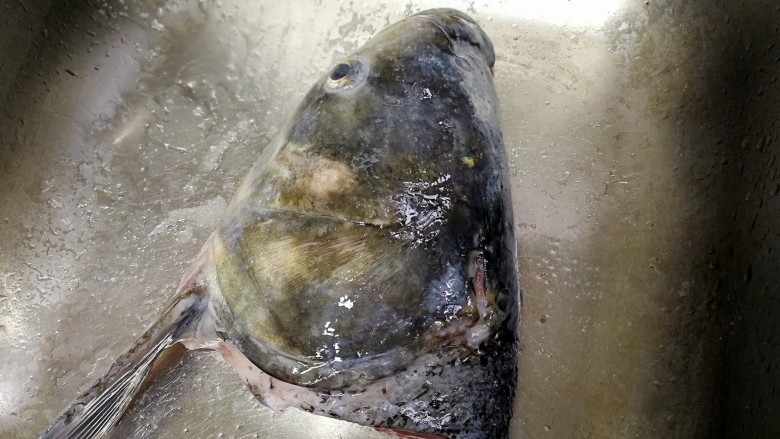 剁椒鱼头（低辣版）,抹匀了盐的鱼头表面会起一层白色的膜，用清水冲洗一下。