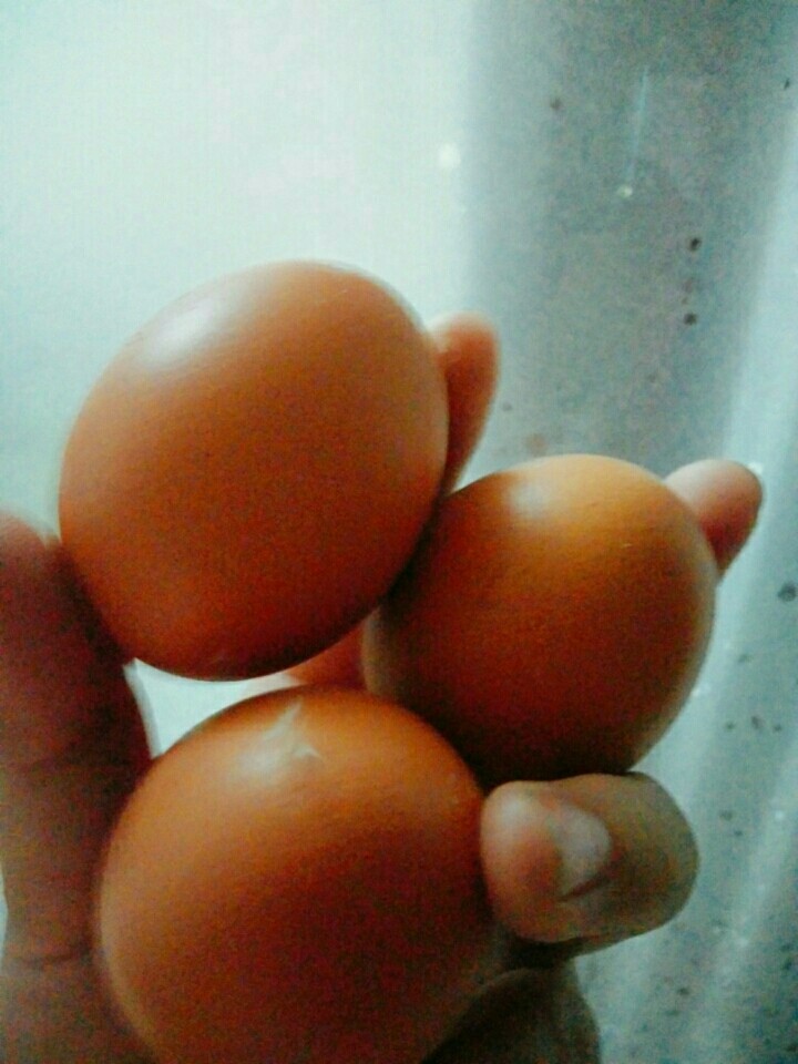 辣椒实蛋,把鸡蛋打了，然后放减，记住减不能一次多放，一次少放然后把鸡蛋搅匀，直到鸡蛋变成暗红色，然后做到锅里，