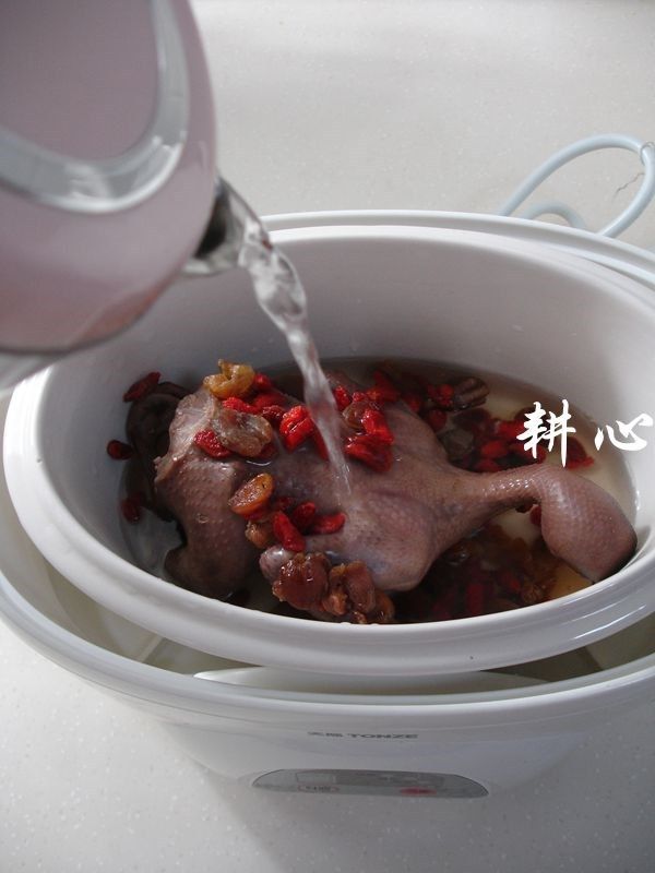 桂圆枸杞鸽子汤,一次性加足适量的清水。