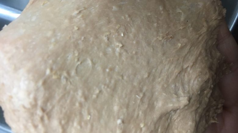 全麦麻薯软欧包,因含有全麦面粉，不可能揉出透明的薄膜，拉出强韧的薄就可以了