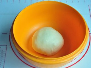黄油椰蓉吐司条,将揉好的面团放入烤箱中进行第一次发酵，在面团上盖一层保鲜膜，烤箱里放一碗温水，30度1小时（冬天时间根据面团发酵状态适当延长时间，而夏天30