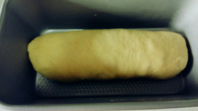 双色大枣面包,卷起，放入土司盒