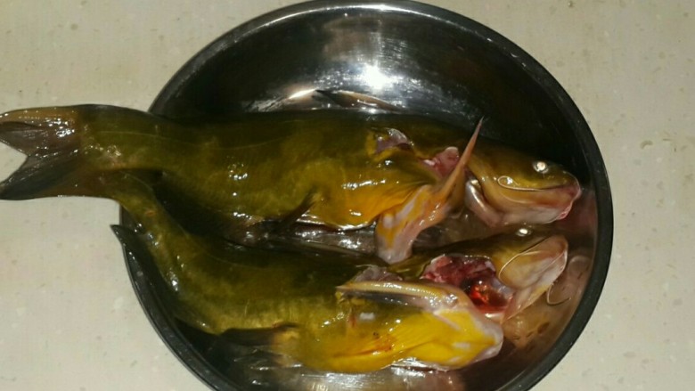 豆鼓蒸黃骨魚,魚宰殺後清洗乾淨