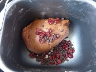 蔓越莓可可包,下用热水泡软的蔓越莓干与巧克力豆