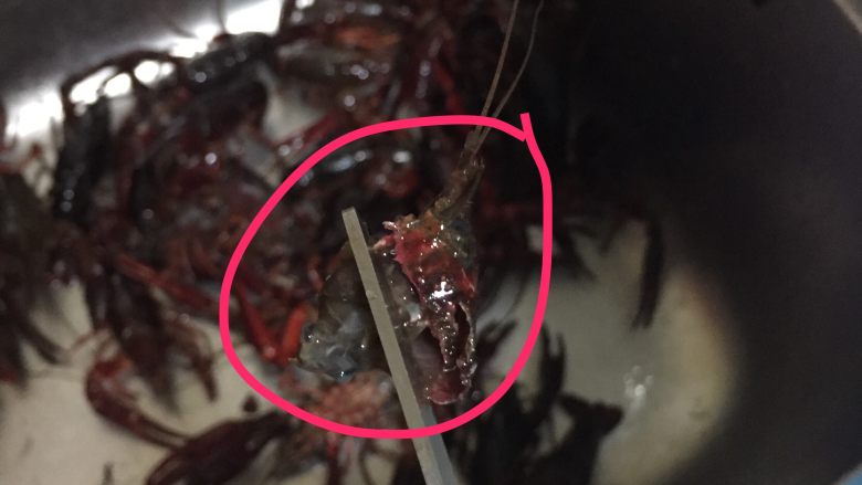 吮指蒜蓉小龙虾,剪下的头2，胃袋完整的被扯出，如果剪破了也没事，反正虾头里面要扯干净！