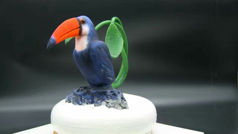 蛋糕可以艺术范,巨嘴鸟，智商最高的鸟。巧克力捏塑