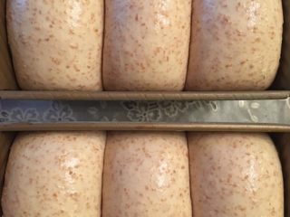 超柔软全麦吐司,放在温暖湿润处进行最后发酵至九分满，刷上稀蛋液（蛋液和水1:1混合）