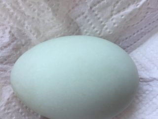 自制咸鸭蛋,用厨房纸巾把鸭蛋擦干，不能有一点水