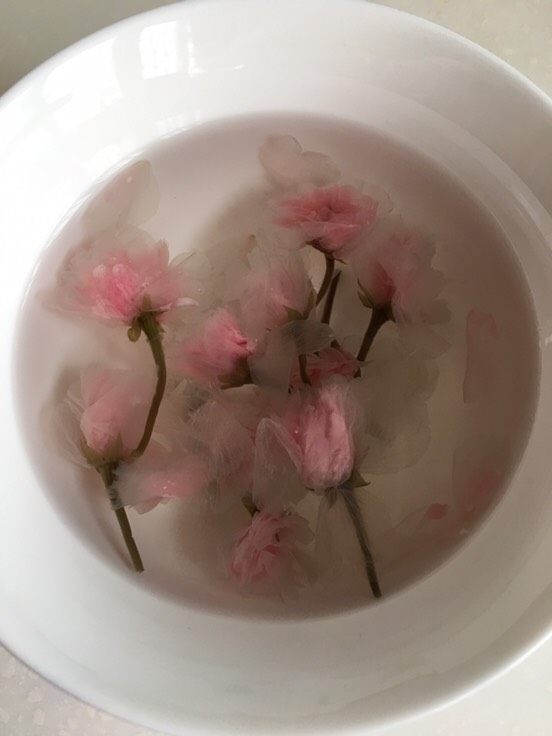 樱花慕斯,盐渍樱花提前泡了一晚，用时开水冲泡，慢慢搅拌，花瓣打开备用