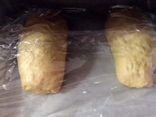 无油版红糖版面包,放入铺了油纸的烤盘上，盖上保鲜膜进行二次发酵（发至两倍大）