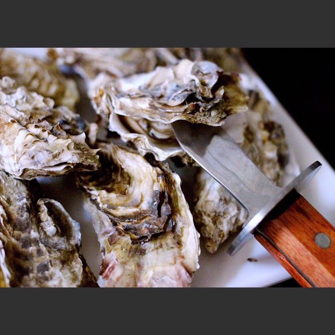 辣根海蛎子#人民的美食#,用刀把海蛎子撬开后、把海蛎子的肉拿出来