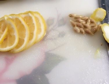 檸檬and白糖,3.切成薄片，两头去掉，然后把籽去掉