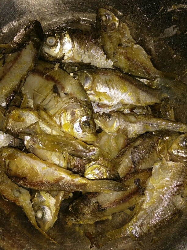 美味香脆鱼,把腌好的鱼放在热油锅小火慢炸，要少少的炸多了会粘在一起，炸到快熟就把它起锅放在盘子里面凉一会。