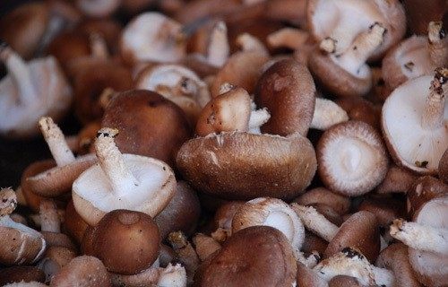 香菇肉沫拌面,鲜香菇洗干净去根，切成小丁