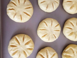 椰蓉花朵面包,依次包好，放入烤盘中进行二次发酵。