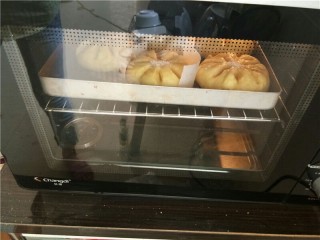 椰蓉花朵面包,放入预热好的烤箱180度，中层烤20分钟。