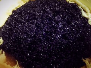 乌饭寿司卷,蒸熟了的乌叶糯米饭是不是？更漂亮啦！深紫色的，晶莹剔透。