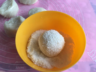 面包机版哈蜜瓜糯米糍,放在提前准好的椰蓉中，使周周围粘满椰蓉。