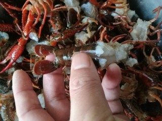 蒜蓉小龙虾,去除头部，尾部抽掉泥筋，在中间剪一刀(这样油炸过程虾肉更香，也易于杀菌)。