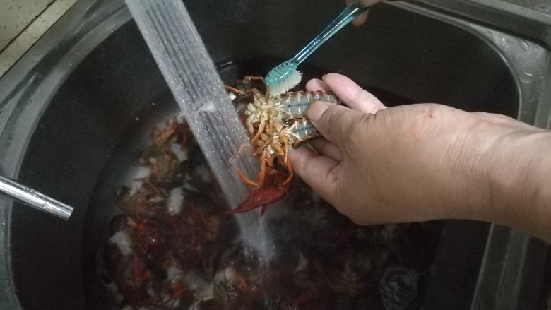 蒜蓉小龙虾,用牙刷刷洗小龙虾，去除头部后方便清洗，也不会咬手。