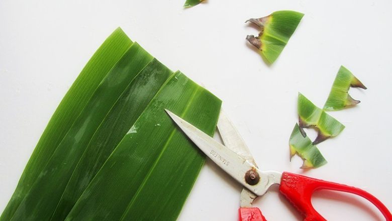 花生腊肠粽,将苇叶梗剪去，也可以不剪去直接包