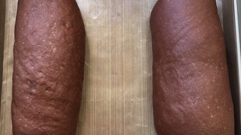 可可麻薯果干软欧,发至两倍大取出，烤箱预热180度
