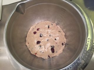 黑麦蔓越莓软欧,整圆放入盆内，盖上保鲜膜进行一发至2-2.5倍大（我室温26度发了60分钟）