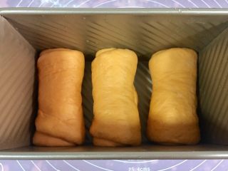 黄金芝士土司面包,三个都放入，也是盖保鲜膜常温发酵。