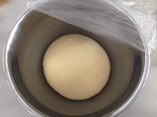 肉松面包（波兰种）,将面团整圆，放入大盆内，盖上湿布开始一发