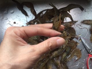 蒜蓉烤虾,基围虾剪掉头上的尖刺，容易刺破手。