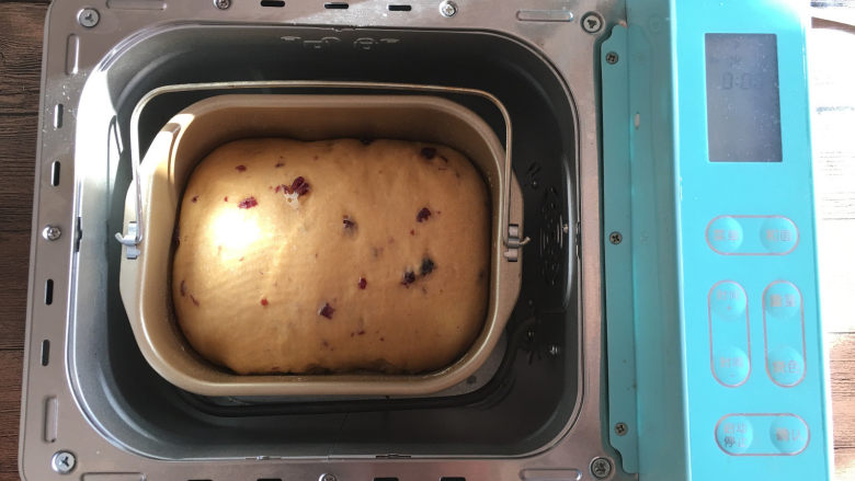 红糖蔓越莓吐司,面包发酵至桶8分满，面包就可以开始烘烤了。