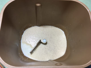 奶黄包,将牛奶倒入面包机桶内，倒入酵母融化。