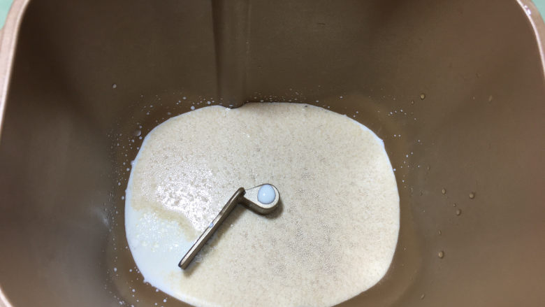 奶黄包,将牛奶倒入面包机桶内，倒入酵母融化。