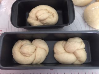 老式面包,将两头相接，左手固定住对折的地方，右手向内搓2圈，将相接部分塞进圆圈里，排入模具中二次发酵