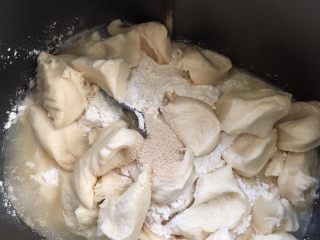 中种肉松面包,主面团材料除黄油放面包桶，中种面团剪小块放入面包桶，放入发酵粉，和面15分钟左右放入黄油继续和面30分钟
