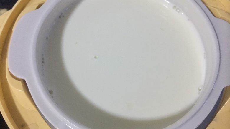 自制酸奶（奶粉版）,搅拌均匀后放入酸奶机。