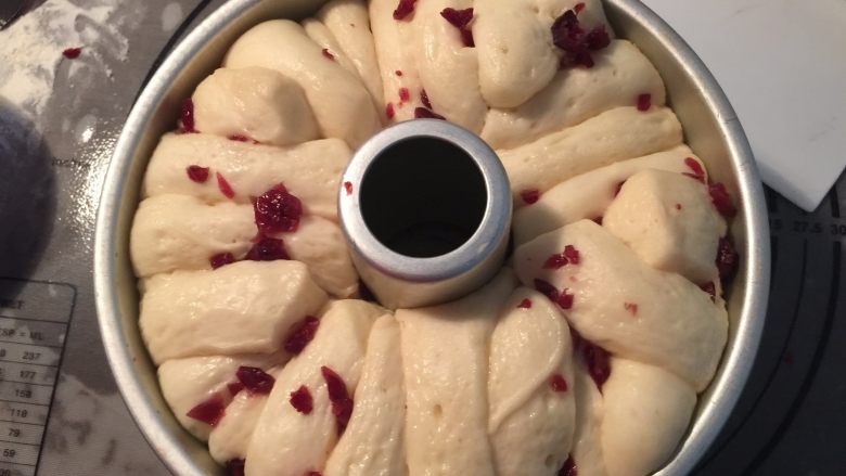 炼乳蔓越莓手撕包,将模具放入烤箱中低温发酵50分钟，我发酵至满模了