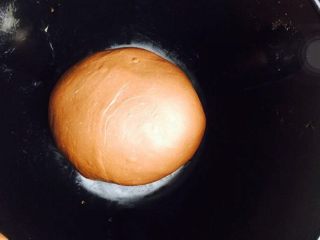 可可麻薯软欧,揉成光滑的面团开始发酵  盖上保鲜膜