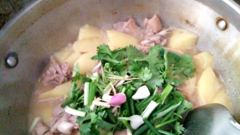 土豆焖鸭,开盖，放入香菜和葱段