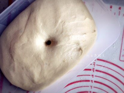 香草水果面包,指测面团不回弹不塌陷即发酵完成。