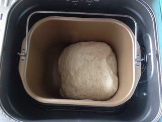 仿真蘑菇包,面团和好后选择发酵功能，发酵两倍大，如果室温高的话，不需要用面包机的发酵功能，直接室温发酵即可
