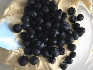 金顶蓝莓麦芬,倒入蓝莓，预留12+18颗蓝莓。12颗蓝莓放入蛋糕中间，每个里面放2颗。18颗蓝莓放表面，每个蛋糕放3颗。
